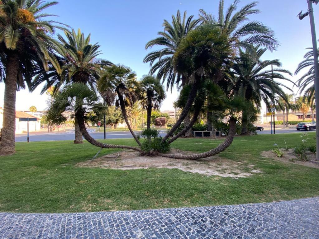 Tropical Loft Alicante Exterior foto